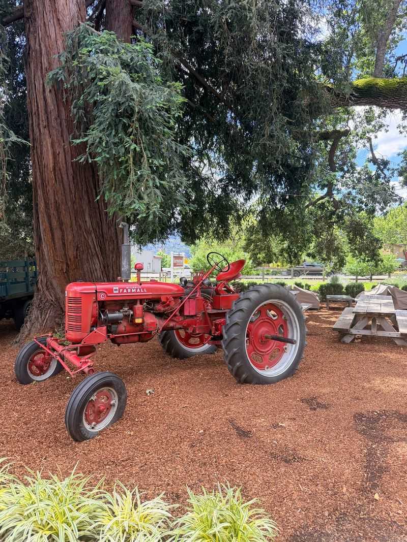 The Farm Shapes What Reaches The Table