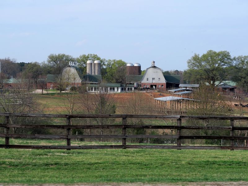 How This Raleigh Facility Is Pushing Veterinary Medicine Forward