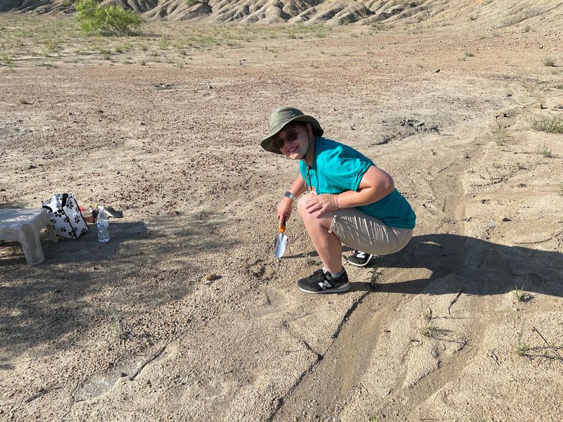 Search For 300-Million-Year-Old Fossils At This Incredible Texas Park, And Take Home What You Find - Decor Hint Pack Light And Search Smart