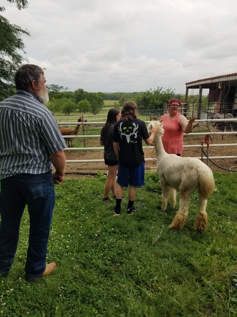 Why an Afternoon With the Herd Sticks With You