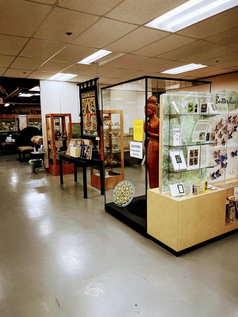 This Free Idaho Museum Is Packed With Fossils, Gemstones And Touch Zones Kids Never Forget - Decor Hint Why This Basement Museum Sticks With You