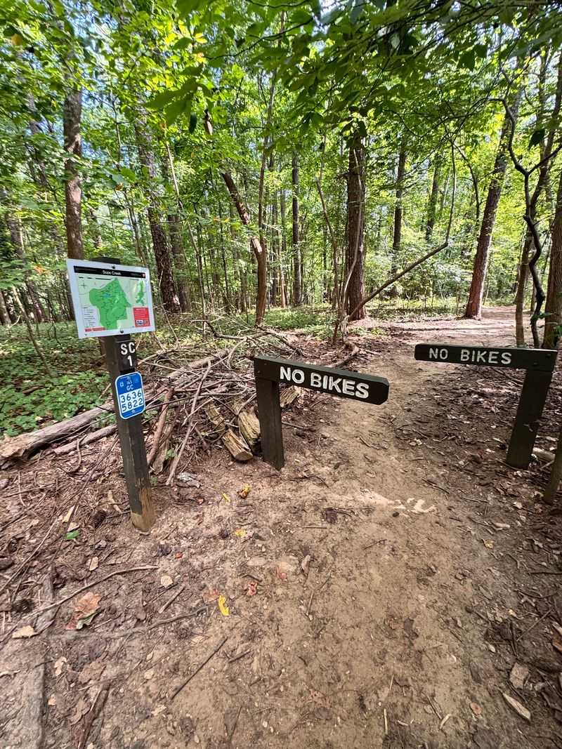 These Strange Forgotten Ruins In Georgia Are One Of The Biggest Hidden Secrets In The South - Decor Hint Practical Details Worth Knowing Before You Go