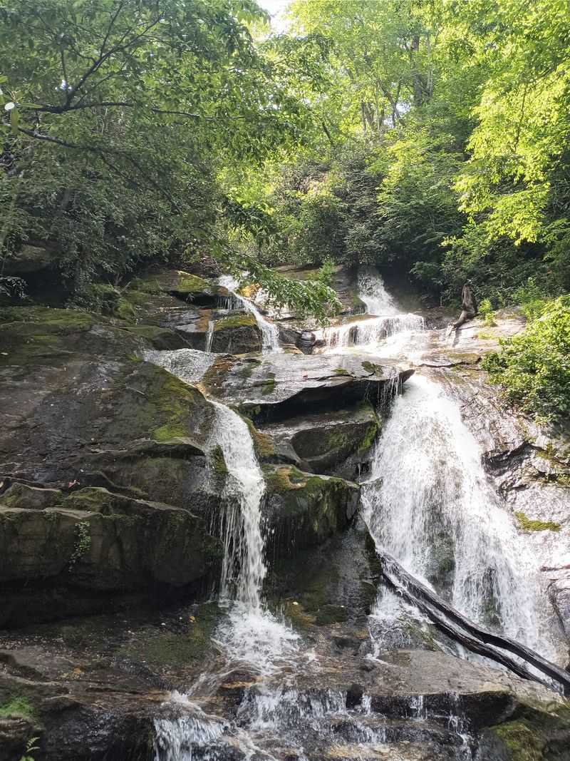 This Georgia Waterfall Hike Winds Through A Shaded Forest To Multiple Cascades - Decor Hint A Loop Under A Roof Of Green Leaves