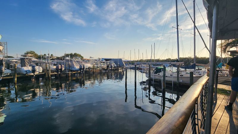 Marina Views, Docking Boats, and Dolphin Watching