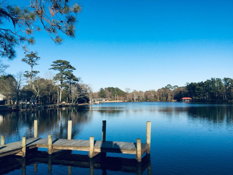 These 12 Free North Carolina Coastal Camping Spots Feel Like Places You Were Never Supposed To Find - Decor Hint Brice Creek Dispersed Camping Area, Croatan National Forest