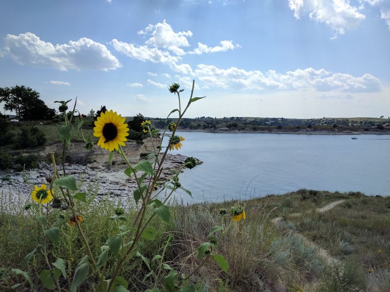 Birds, Bighorns, and the Wildlife Management Area