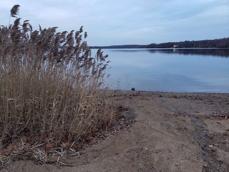 This Underrated Connecticut Lake Has A Sprawling Shoreline And A Tiny Island State Park - Decor Hint Fall Colors Bring A Completely Different View
