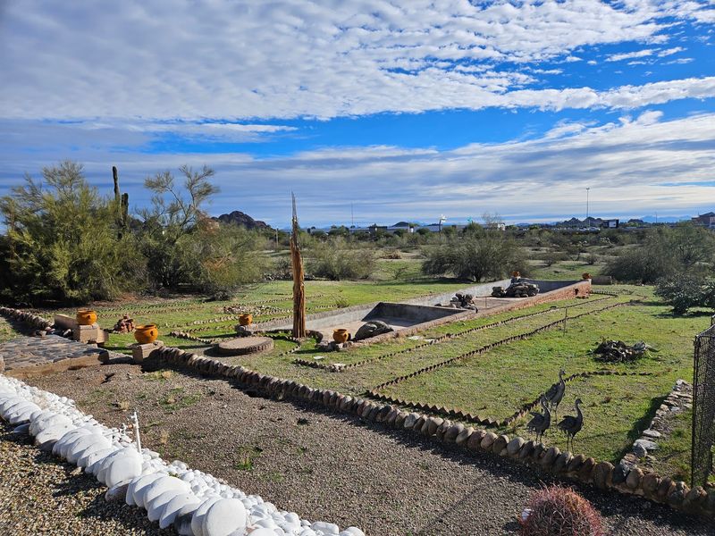 Bringing Neglected Gardens Back To Life