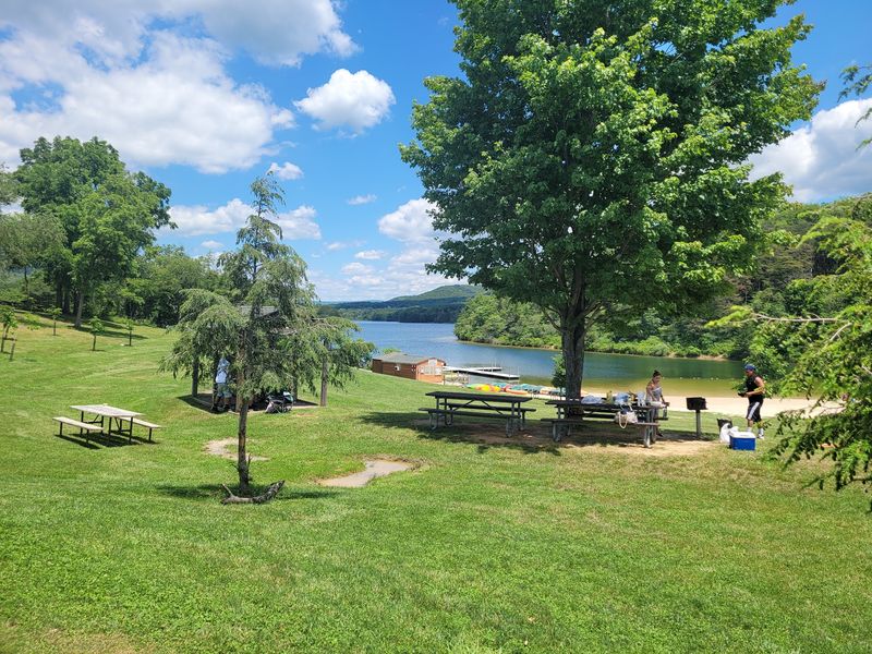 Rocky Gap State Park Pet-Friendly Swim Area, Flintstone