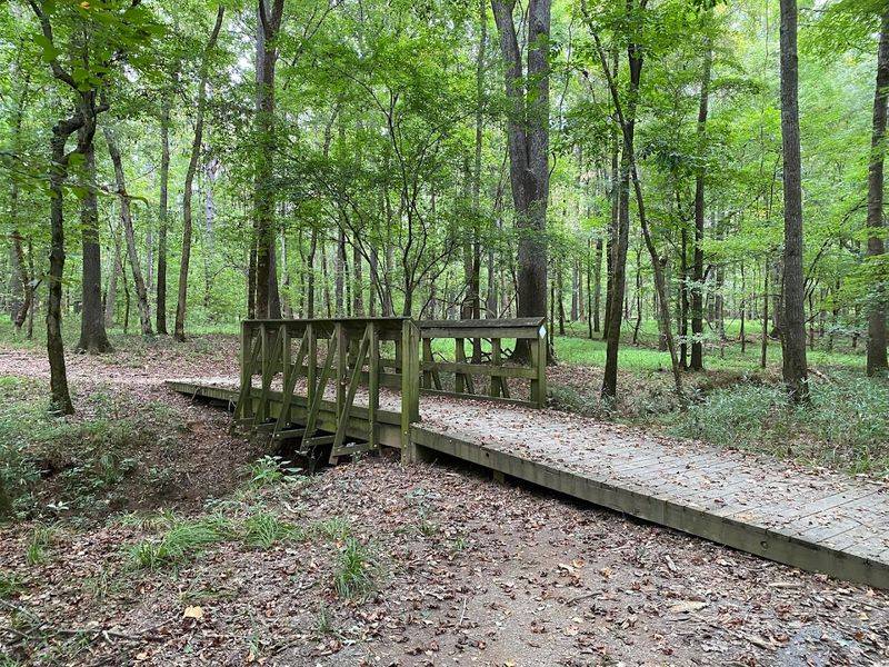 Playgrounds And Family-Friendly Facilities For Kids