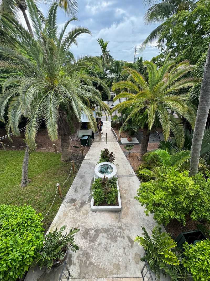 Gardens That Feel Like a Rainforest