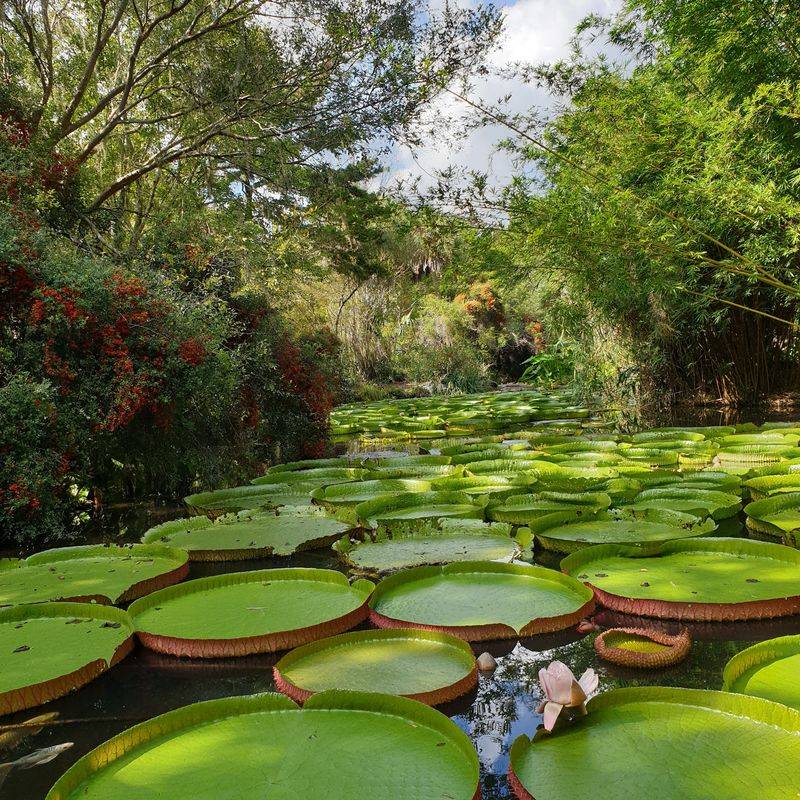 A 68-Acre Garden on the Edge of Gainesville