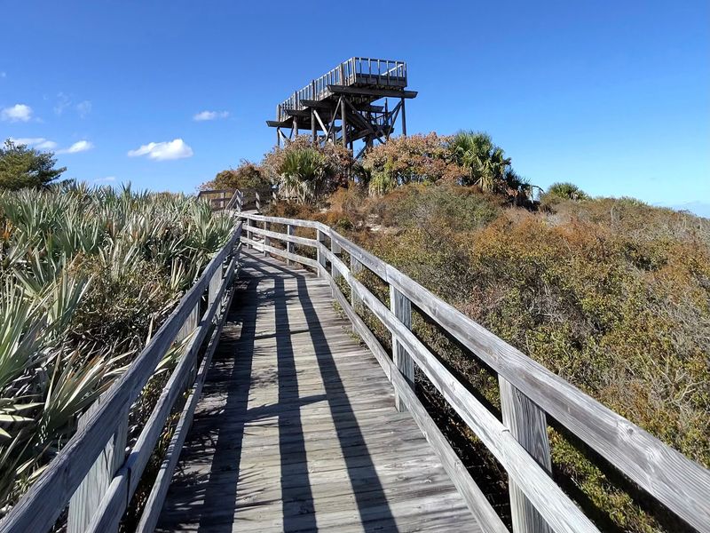 Florida's Little Mountain Overlook Inside This State Park Hides A Secret Snake Problem - Decor Hint A Sand Dune Posing as a Mountain