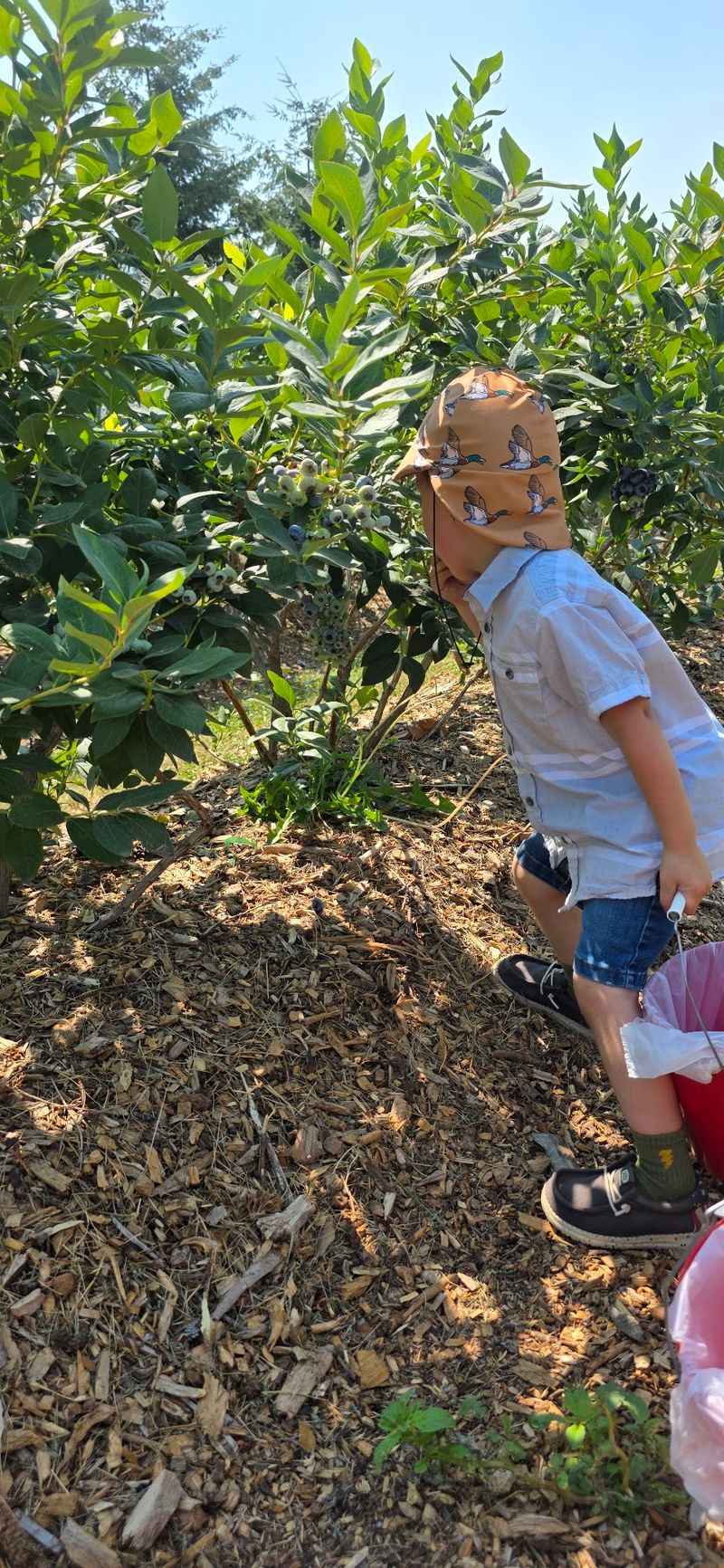 A Morning Built For Kids