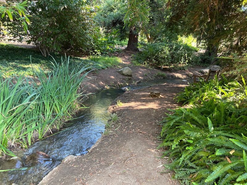 Wander Along Streams Through The Garden