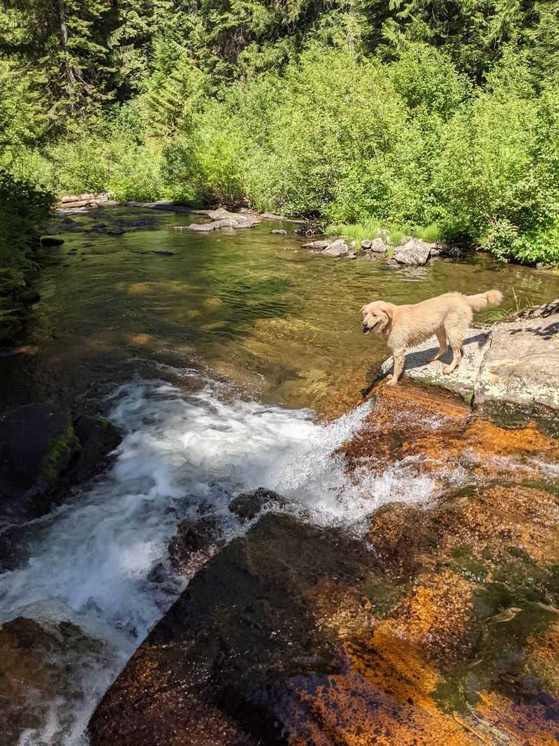 Look For Remains Of The Old Splash Dam Along Marble Creek