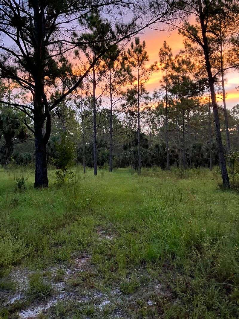 Family Adventure Awaits Along Florida'S Easy Lockwood To Barr Waterfall Trail - Decor Hint Smart Timing And Packing