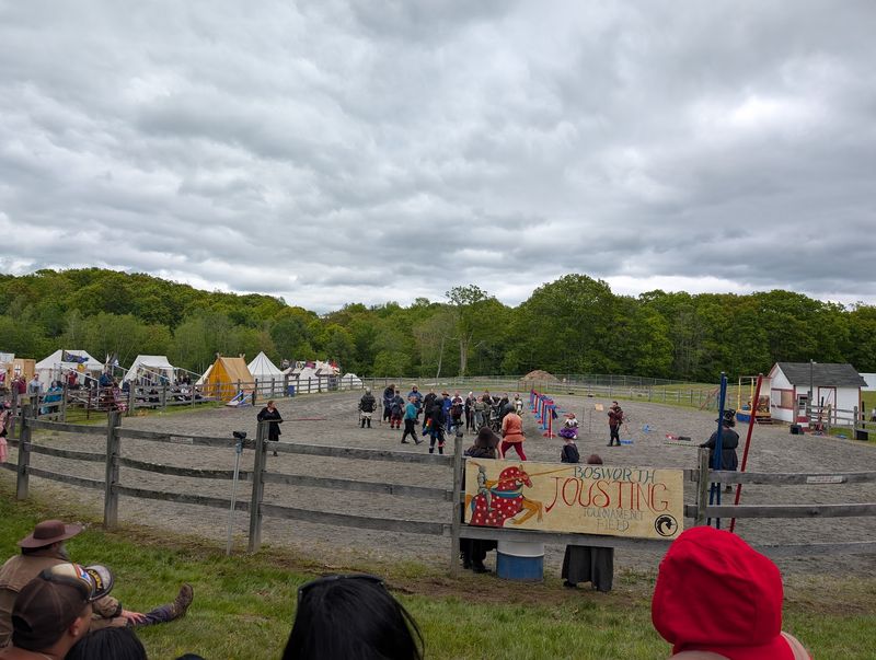 Pig Races And Woodchopping Add To The Fun