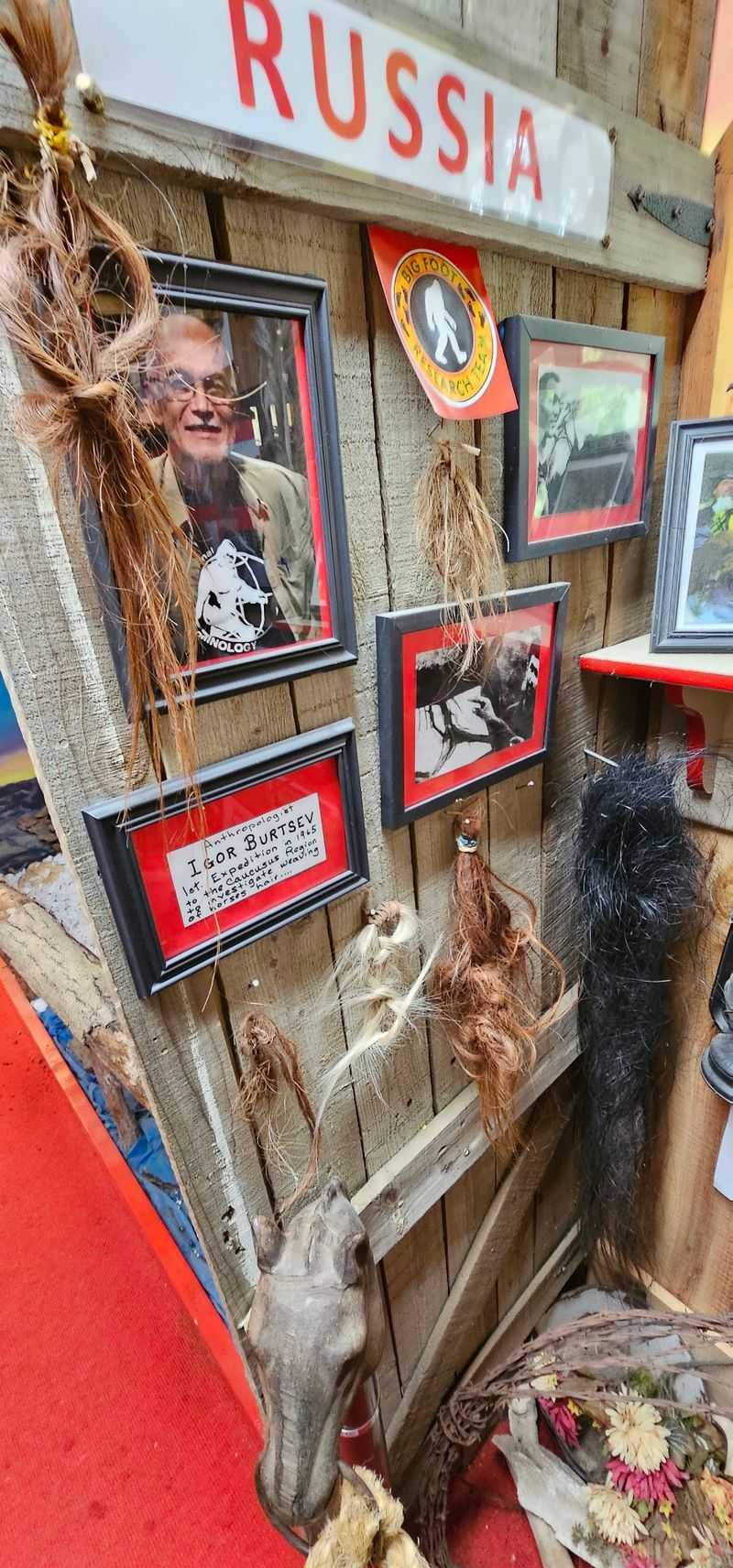 Braided Manes And Lake Monsters