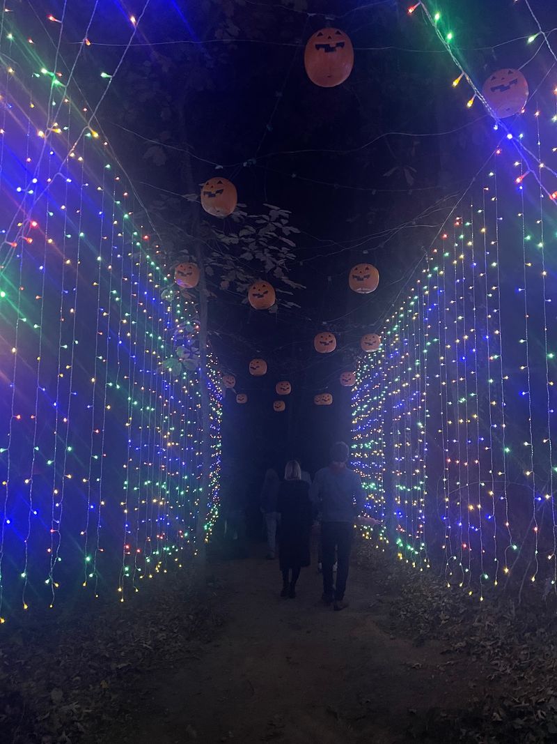 This North Carolina Halloween Festival Only Appears For 10 Nights, And The Whole Trail Comes Alive After Dark - Decor Hint Follow The Trail After Dark And 18 Live-Action Scenes Start Coming Alive