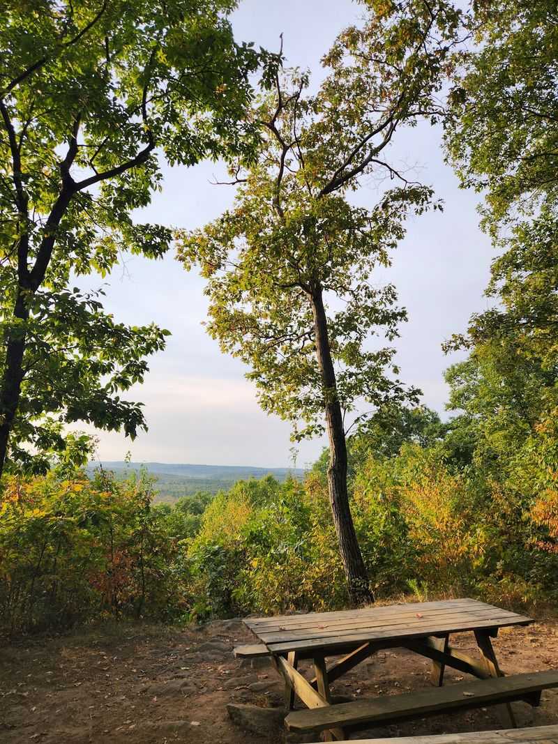 Golden Leaves Transform The Woods Each Fall