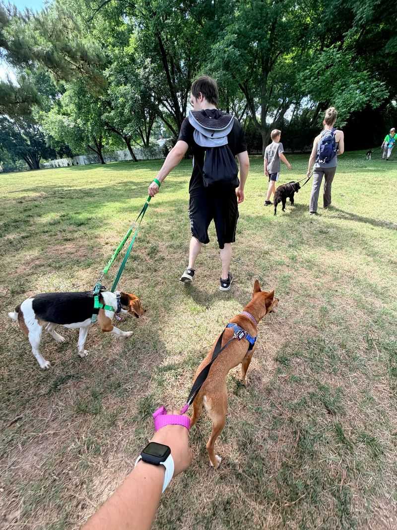 Saving Grace Animals For Adoption NC - Wake Forest