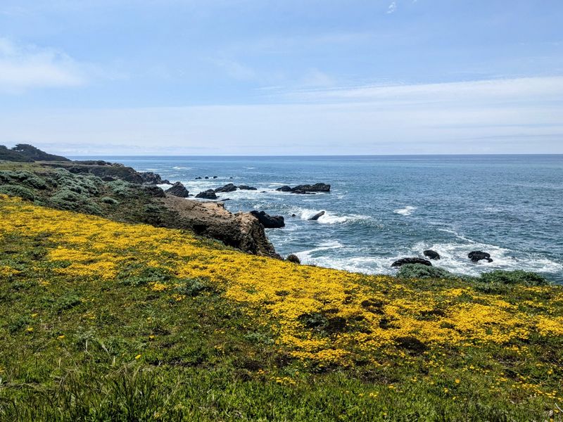 Gualala: Sunshine On The Secret Coast