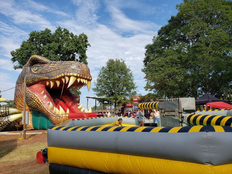 Bouncy Fun And Furry Friends For Little Ones