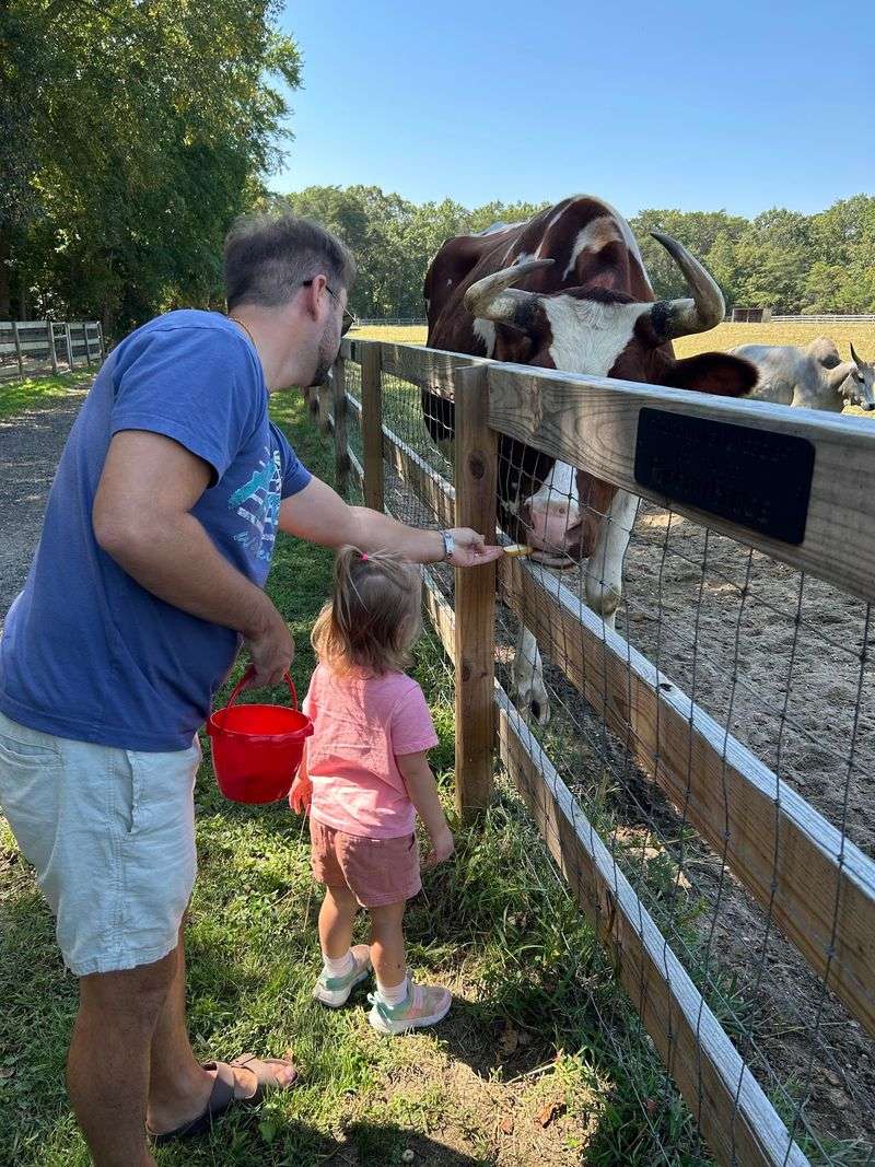 A Chef Traded His Kitchen for A Barn