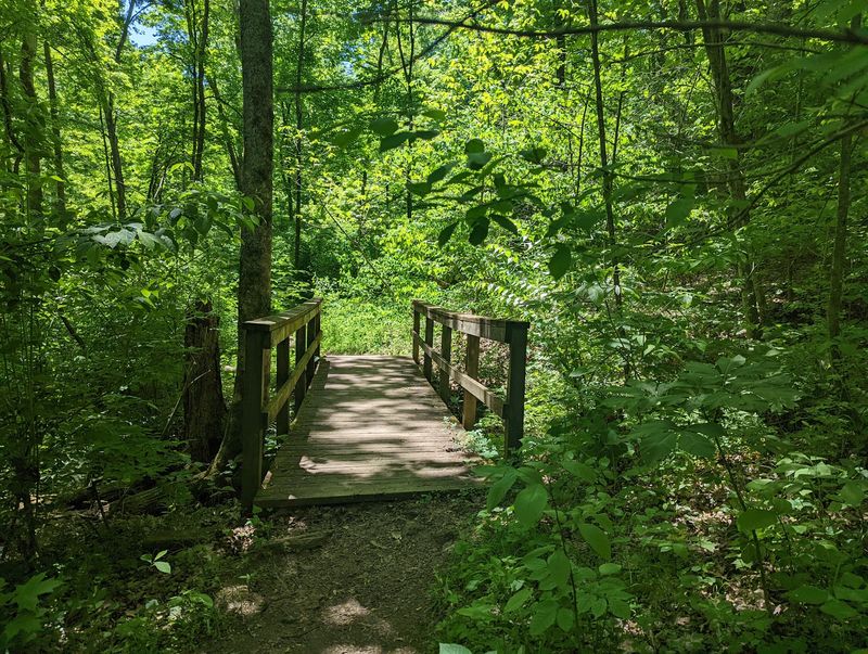 The Sprawling Indiana State Park That Far Too Many Travelers Still Overlook - Decor Hint Home To Warblers And The Rare Bald Eagle