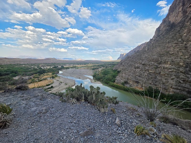 Desert Creatures Along The Banks