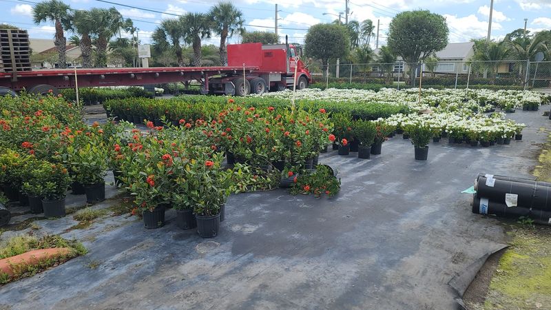 Plants Priced Like Someone Wants You To Buy Them