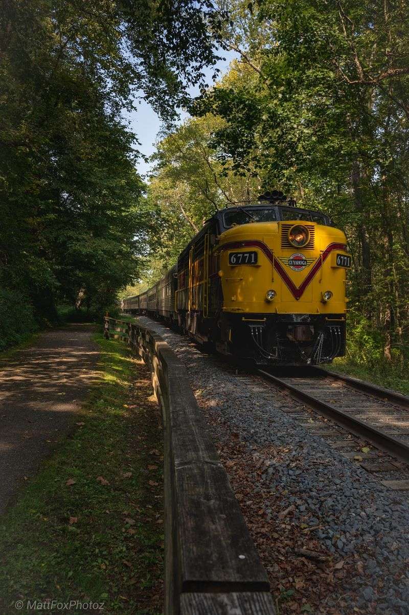 Themed Nights And Holiday Runs Worth Booking