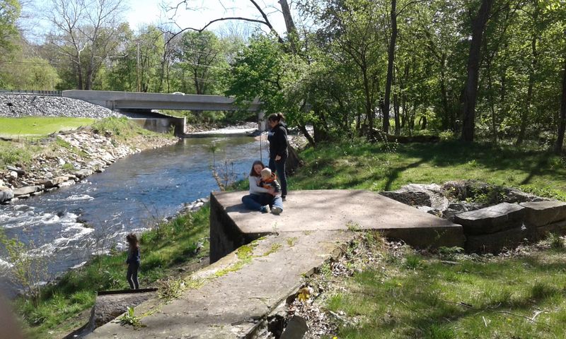 Paddles, Picnics, And A Patient River