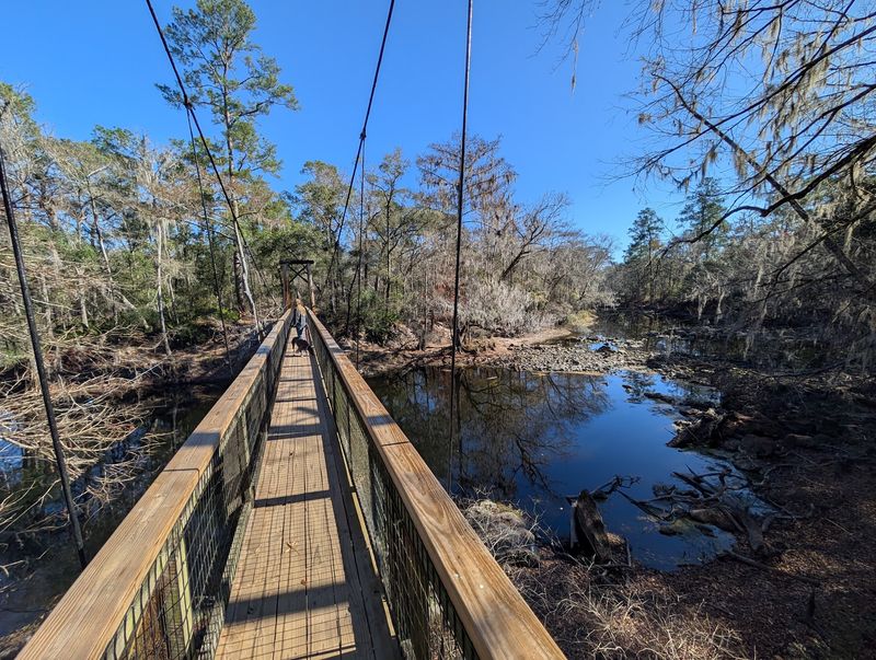 11 Florida Campgrounds So Well Secluded Even Most Residents Miss Them - Decor Hint O'Leno State Park, High Springs