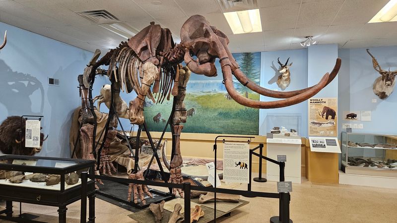 The Woolly Mammoth Everyone Talks About
