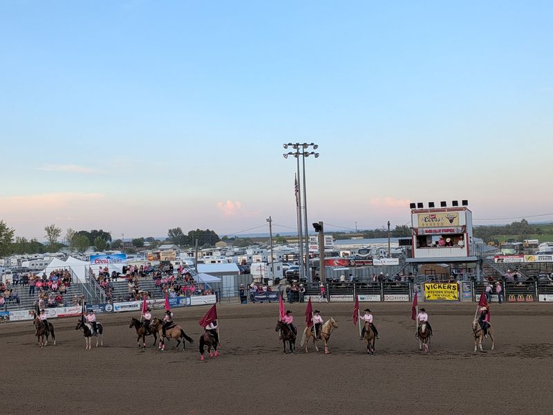 A Fair Tradition That Began In 1916 Is Still Going Strong 110 Years Later