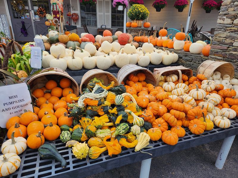 Family Traditions Still Shape The Farm