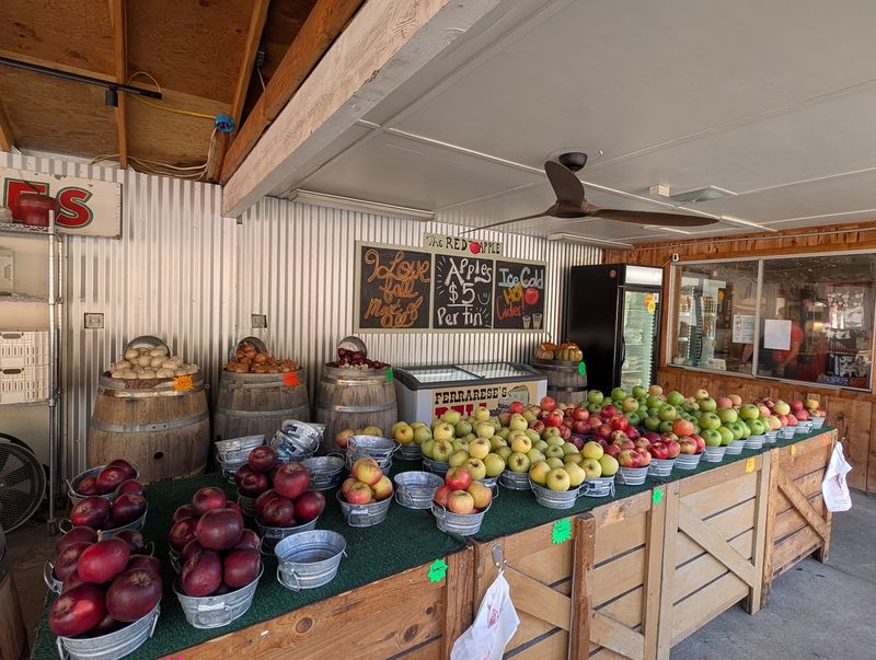 Seasonal Produce Gives You Another Reason To Stop