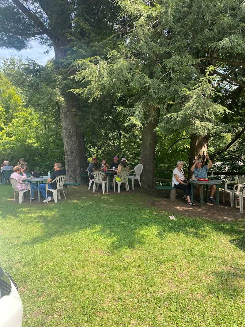 Shady Picnic Tables Complete The Experience
