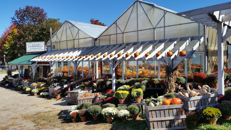 Jams, Honey And Pies Fill The Shelves