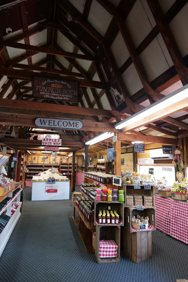 A Quieter Detour To Red Apple Barn, Ellijay