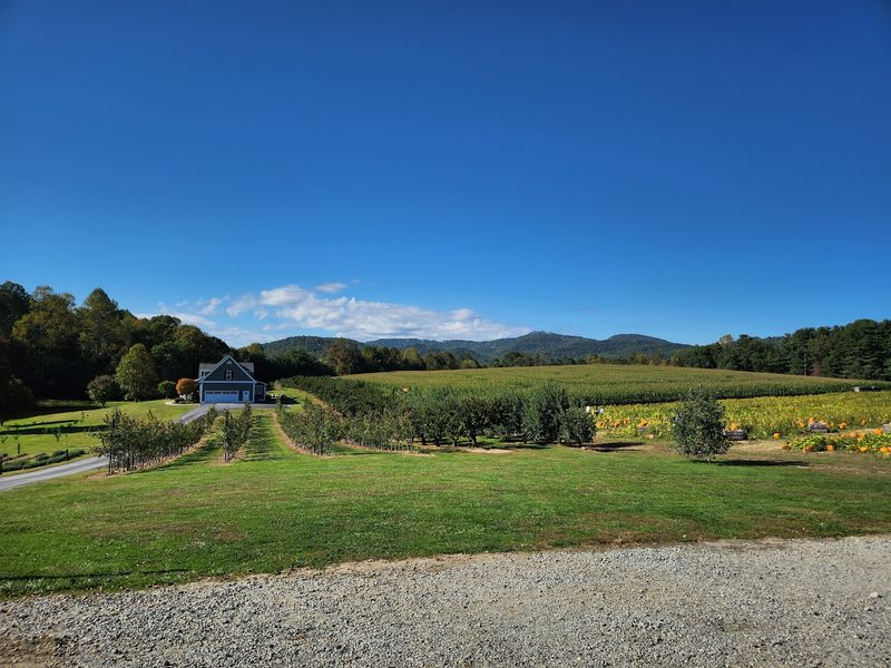 This North Carolina Apple Orchard Goes All Out For Fall With Pumpkins, Hot Donuts And Fresh Cider - Decor Hint More Than 120 Acres Turn A Simple Apple Run Into A Fall Adventure