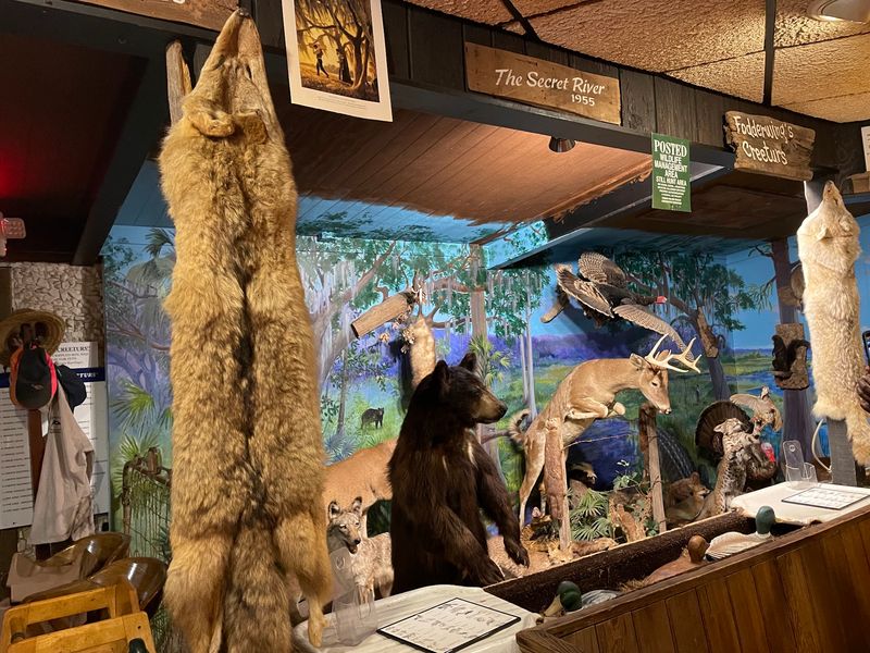 Old Books, Taxidermy, and a Room That Doubles as a Museum