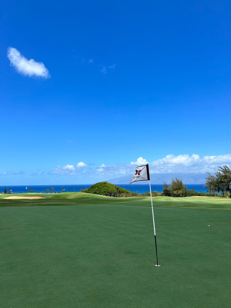 Green Golf And Wild Neighbors