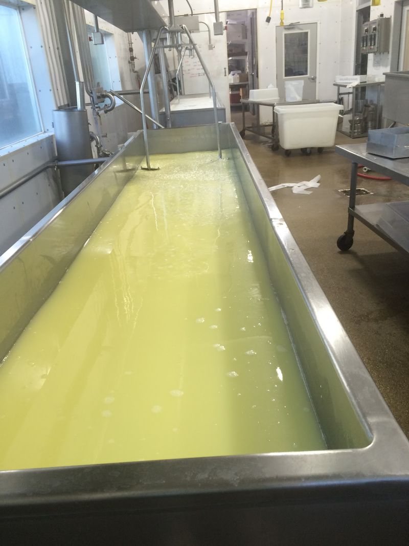 Watching Curds Float and Cheese Get Cut by Hand