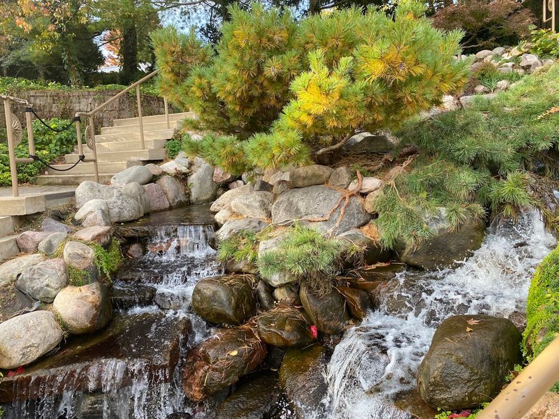 Stone Walls and the Original Rock Garden Name