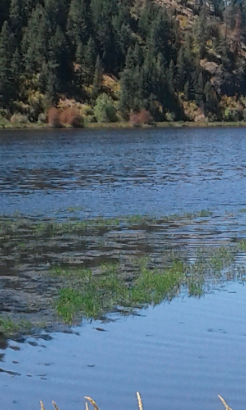 Thirty-Six Crossings Over Water