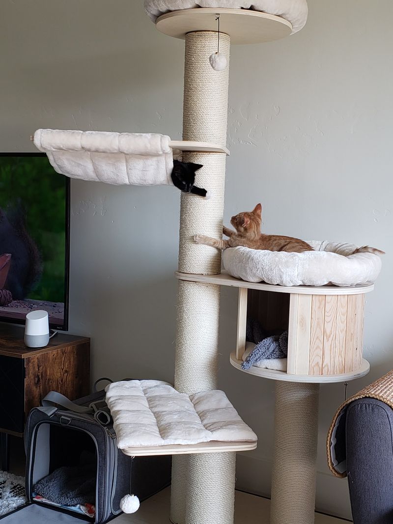 Thirteen Open Rooms And Sun-Soaked Catios