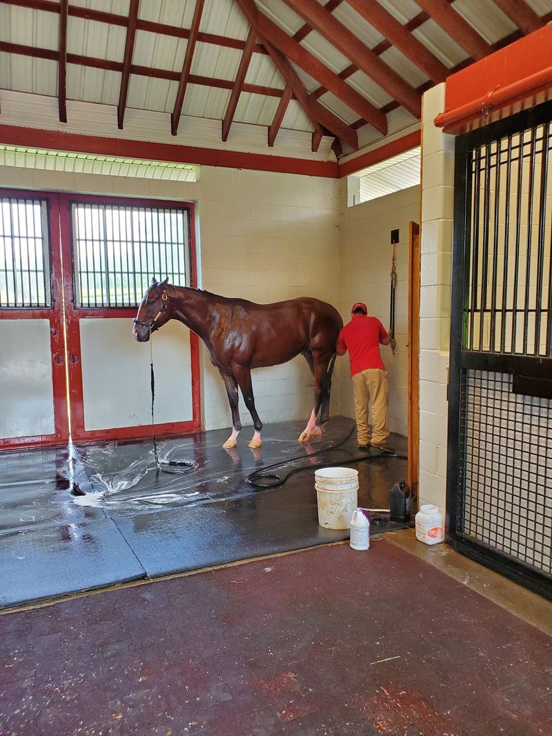 This Kentucky Farm Lets You Spend An Afternoon Grooming Horses In The Heart Of Bluegrass Country - Decor Hint A Billion Reasons To Pay Attention